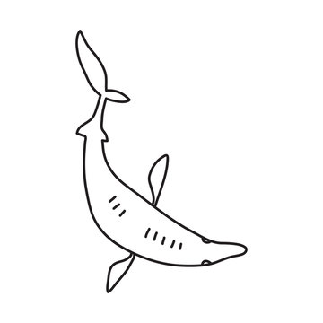recommend clip art: Vector stock illustration with single object: animal, hand drawn, doodle style.