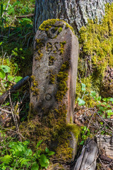Moos bewachsener Meilenstein im Wald