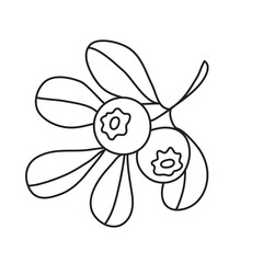 Vector stock illustration with single object: plant, hand drawn, doodle style.