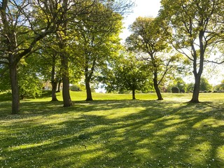 Park landscape, with flowers, trees in late spring, in Lister Park, Bradford, Yorkshire, England