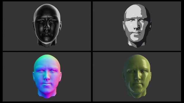 Gloss shiny, Toon Shaders. 3D Head model spin. High resolution polygons CGI Animation computer generated graphics software screen. Isolated close-up.
