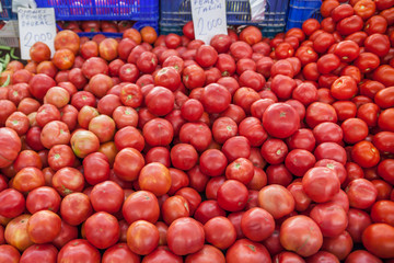 Fresh Organic Farm Tomatoes at the Market