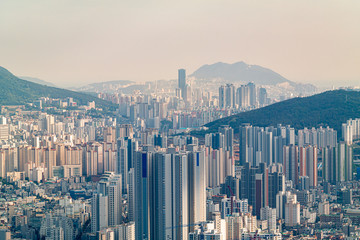 Fototapeta premium Skyscraper and landscape of Busan City, South Korea from a High Position