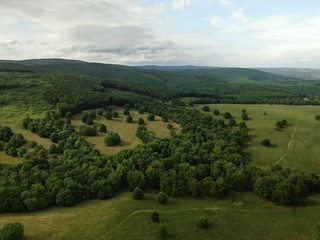 Aerial view of a beautiful forest . 