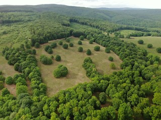 Aerial view of a beautiful forest . 