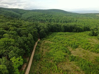 Fototapeta na wymiar Aerial view of a beautiful forest . 