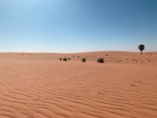 Fototapeta na wymiar Algeria desert