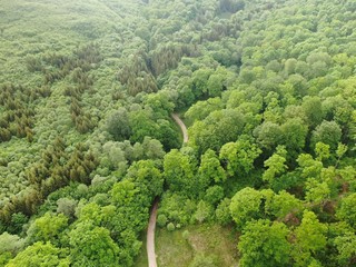 Aerial view of a beautiful forest . 