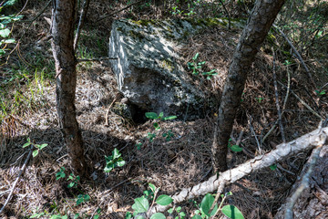 old bunker pieces in the forest