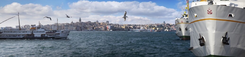 Fototapeta premium panoramic a view of karakoy istanbul