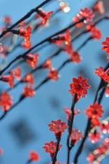 Red plastic flowers against a blue sky