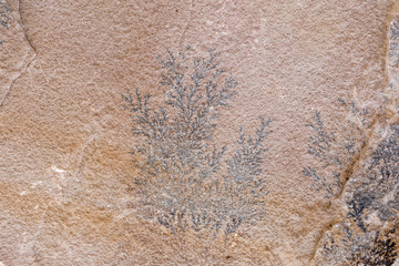 beautiful background, unique texture of natural stone