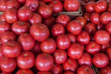 Fresh Organic Farm Tomatoes at the Market