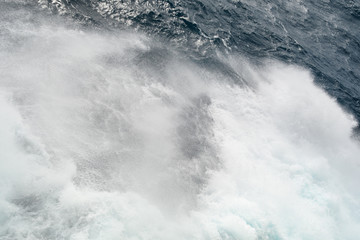 Ocean wave with a cap of sea foam in windy weather. Background. Abstract.