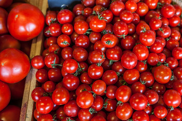 Fresh Organic Farm Tomatoes at the Market