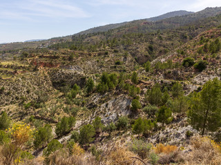 mountainous landscape with pine trees near Darrical (Spain)


