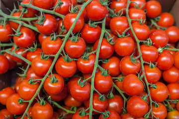 Fresh Organic Farm Tomatoes at the Market