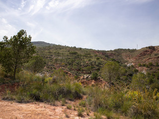 mountainous landscape with pine trees near Darrical (Spain)

