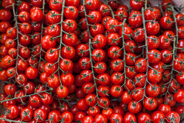 Fresh Organic Farm Tomatoes at the Market