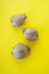 Ugly vegetables, deformed the potatoes in a trendy yellow backgroundUgly vegetables