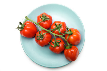 Tomato. Tomato branch. Tomatoes branch in plate isolated on white