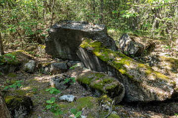 Naklejka na ściany i meble old bunker pieces in the forest