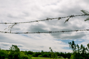 barbed wire against the blue sky
