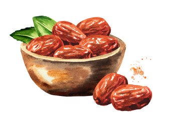 Bowl with Dried unabi fruit, ziziphus or jujube and green leaves. Hand drawn watercolor illustration isolated on white background