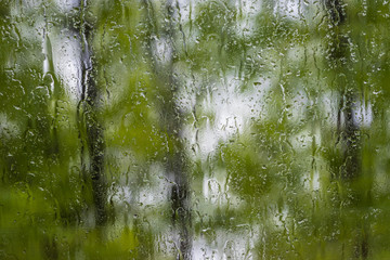 The glass is covered with raindrops behind which is a blurred green background. Raindrops flowing...