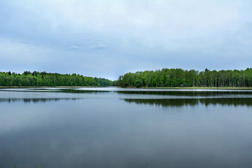 Fototapeta na wymiar calm lake on whose birch there is a dense fir forest