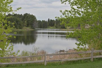 Obraz premium Spring, nature, pond