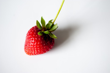strawberries on a white background