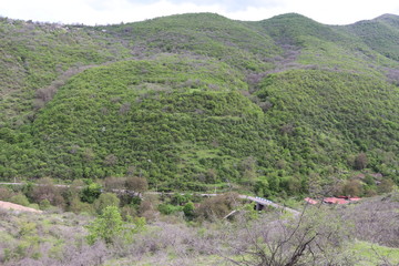 In the spring, the trees on the hill turned green and bloomed. Only the walnut tree has no leaves yet. At the top of the hill is a village. And on the Western side of the gorge there are bare bushes
