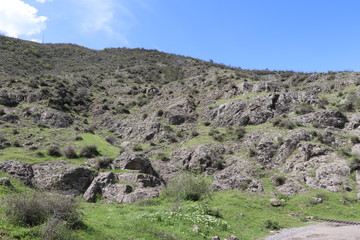 In the spring, grass grew on the hill among the rocks. The leaves on the bushes are small. There are plants with white flowers near the road. Soon it will be summer and everything will dry up.