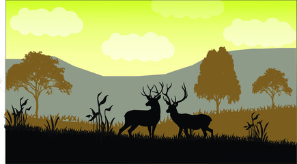 Fototapeta na wymiar deer in the forest