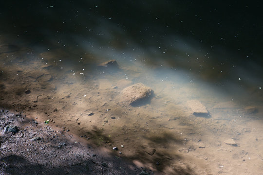 Shallow Water At The Rivers Edge, Glowing In The Evening Sun
