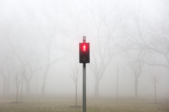 Trafic Lights In The Foggy Winter Day