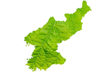 Naklejka premium Map of North Korea in green leaf texture on a white isolated background. Ecology, climate concept. 3d illustration.