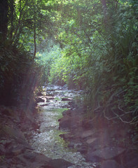 Beautiful rays of sunlight on a small stream in the summer evening