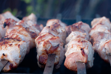 cooking pork skewers on the grill. meat with a crust