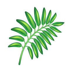 Fototapeta na wymiar digital botanical illustration, tropical green leaf, nature design element, jungle foliage clip art isolated on white background