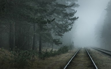 Creepy old railroad through the coniferous forest in a thick fog. Dark landscape. Latvia