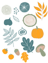 Autumn abstract leaves, mushrooms, wood, pumpkin and fruits