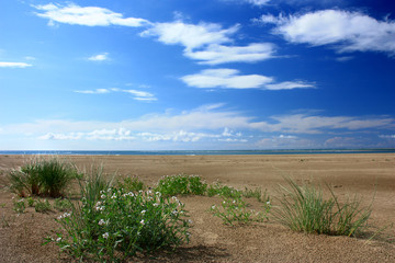 Fototapeta premium Summer landscape with green grass, road and clouds