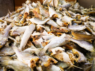 Dried fish display on seafood market in Malaysia