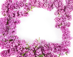 Garland of Lilac flowers on a white background with text space in the middle