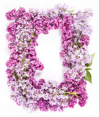 Garland of Lilac flowers on a white background with text space in the middle