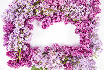 Garland of Lilac flowers on a white background with text space in the middle