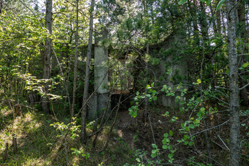 old bunker pieces in the forest