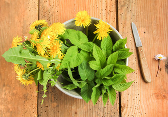 Wildkräutersalat Salat Wildkräuter Tisch Brett Kräuter sammeln essbare Blüten Tisch Top View